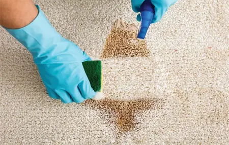 How to Remove Stains from Carpet