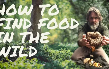How to Find Food in the Wild