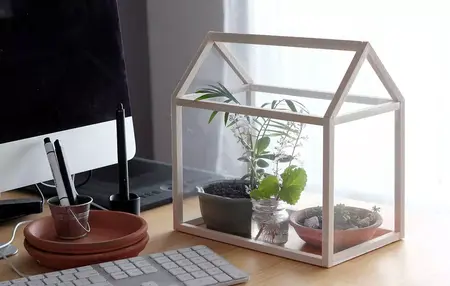 How to Make a Mini Greenhouse