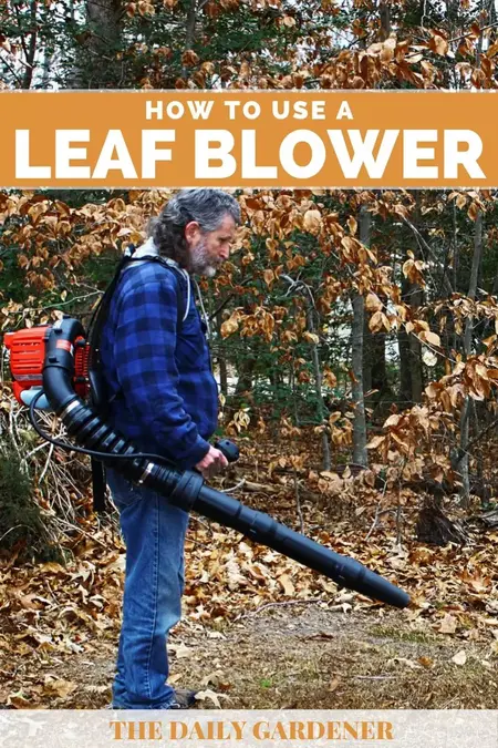 How to Use a Leaf Blower