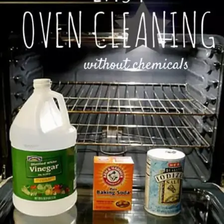 How to Clean Your Oven Without Chemicals