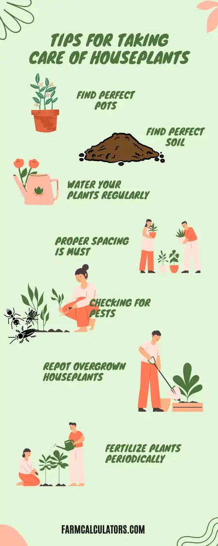 How to Take Care of Houseplants