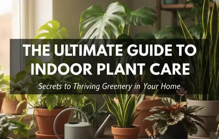 How to Take Care of Indoor Plants