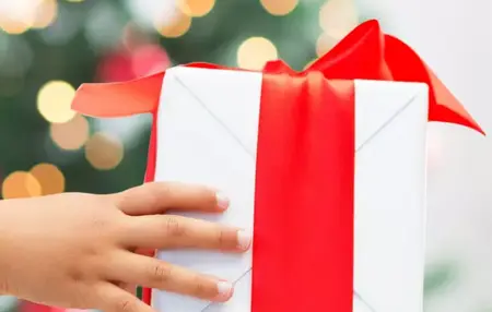 How to Survive the Holiday Season