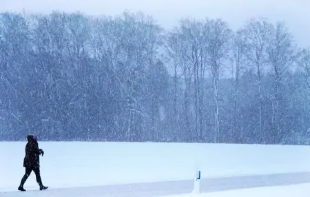 How to Survive a Winter Storm