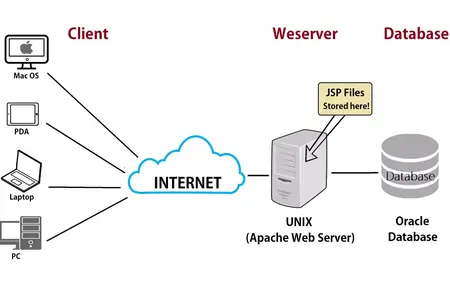 How to Learn to Use a Web Server