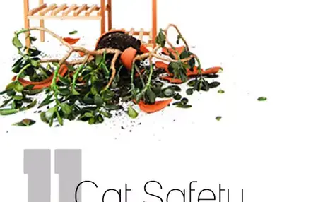 How to Cat-Proof Your Home