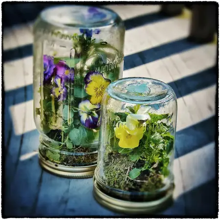 How to Make a Mason Jar Terrarium