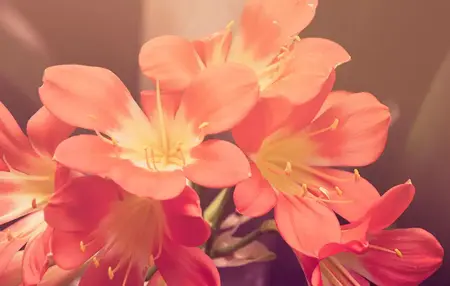 How to Receive Feedback Gracefully