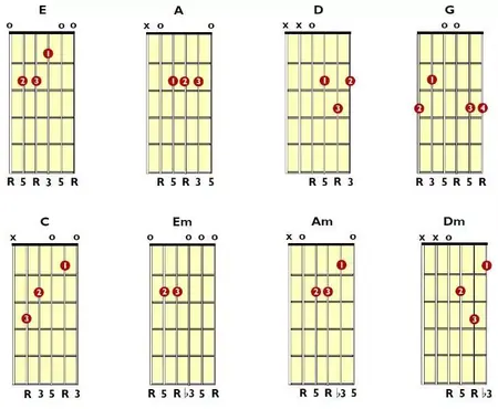 How to Learn to Play the Bass Guitar