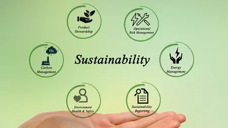 How to Build a Sustainable Business