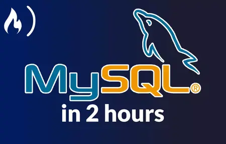 How to Use MySQL