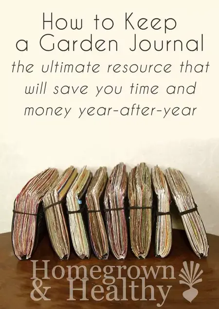 How to Start a Gardening Journal