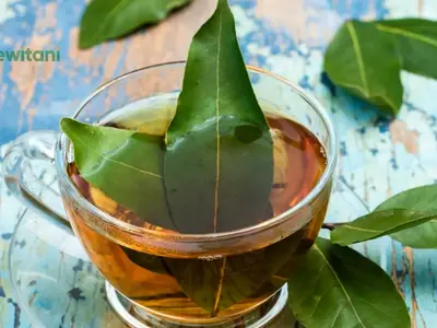 Daun Salam Manfaat dan Bahaya: Panduan Lengkap