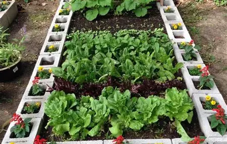 How to Start a Garden in a Small Space