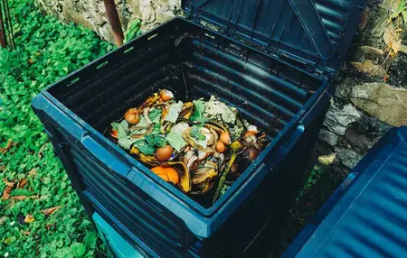 How to Use a Compost Bin