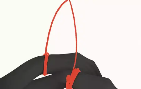 How to Create a Professional Portfolio Using Behance