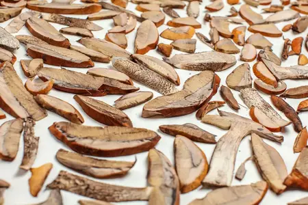 How to Use a Food Dehydrator for Mushrooms