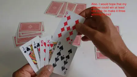 How to Learn to Play Euchre