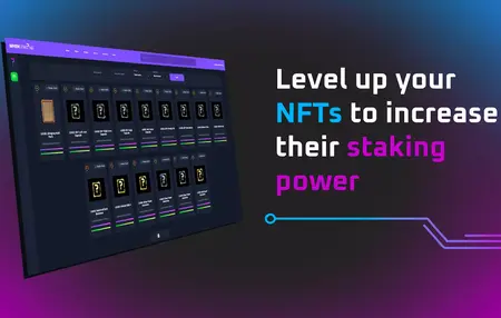 How to Use a NFT Platform