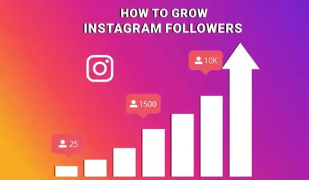 How to Grow Your Instagram Following