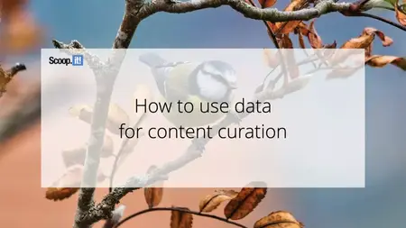 How to Use Content Curation to Share Valuable Content and Engage Your Audience