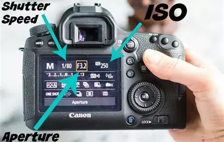 How to Use a Digital Camera