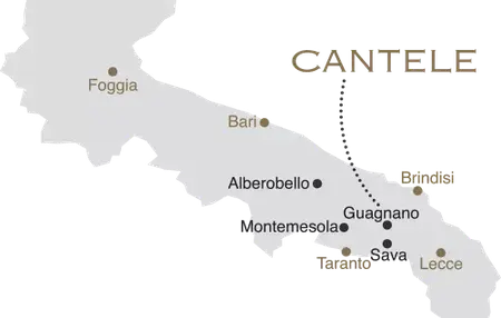 How to Learn to Play Cantele