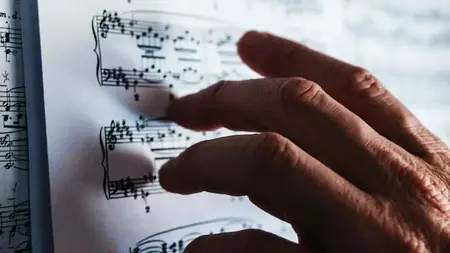 How to Learn Photography Composition