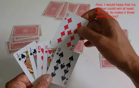 How to Learn to Play Euchre