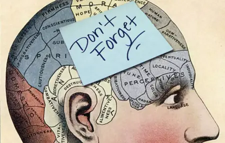 How to Improve Your Memory