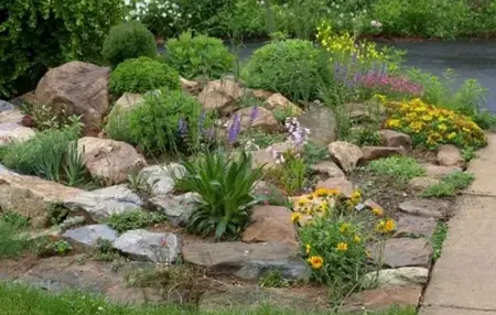 How to Make a Rock Garden