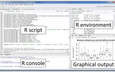 How to Use R for Data Science