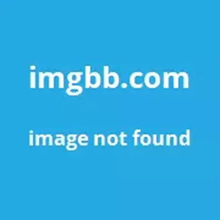 How to Learn to Use a Web Development Software