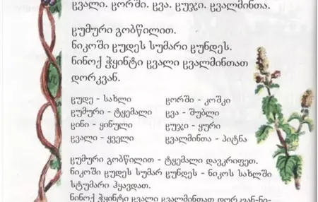 How to Learn to Speak Georgian