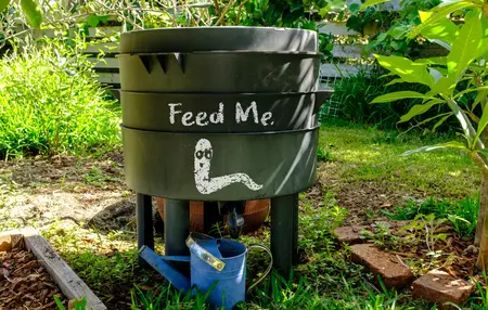 How to Start a Worm Composting Bin