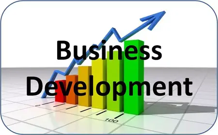 How to Use Business Development