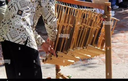 How to Learn to Play the Angklung