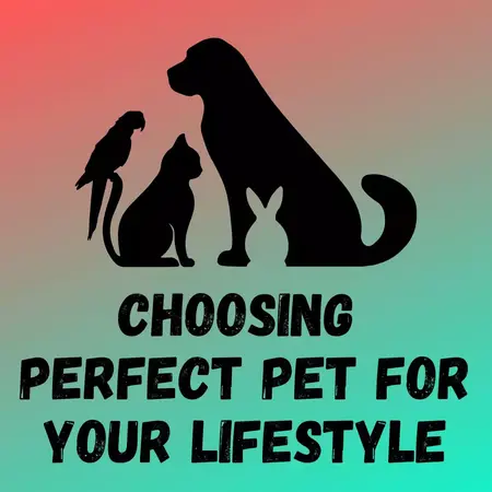 How to Choose the Right Pet for Your Lifestyle