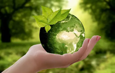 How to Be More Environmentally Conscious