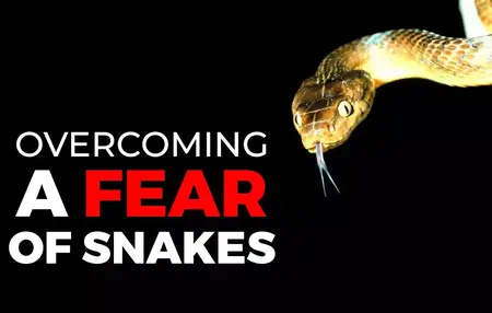 How to Overcome Fear of Snakes