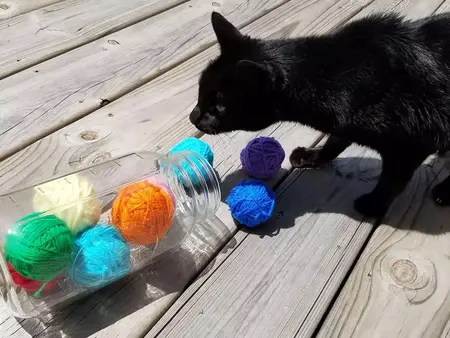 How to Make a Cat Toy
