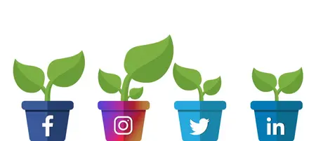 How to Grow Your Social Media Following
