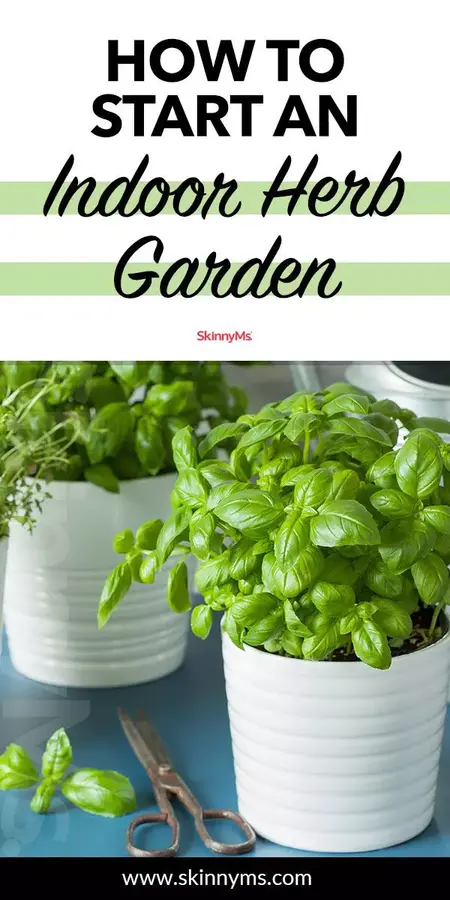 How to Start an Indoor Herb Garden