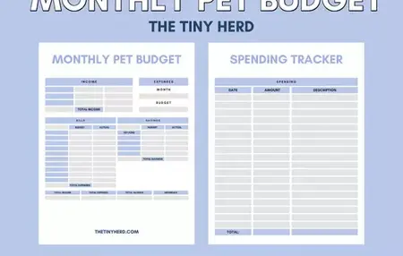 How to Make a Budget for Your Pet