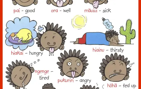 How to Learn to Speak Maori