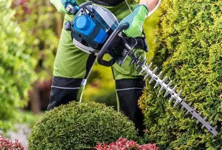 How to Use a Hedge Trimmer
