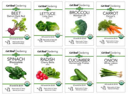 How to start a vegetable garden from seed