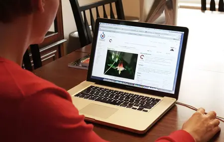 How to Use a Computer