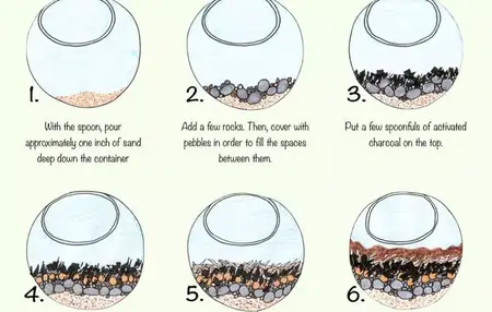 How to Make a Terrarium